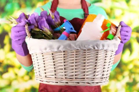 Woman with basket of spring cleaning materials