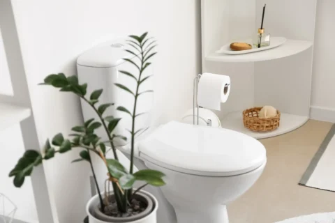 home toilet